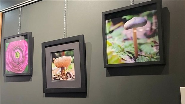 Février sera bien animé à la bibliothèque Madeleine-Doyon