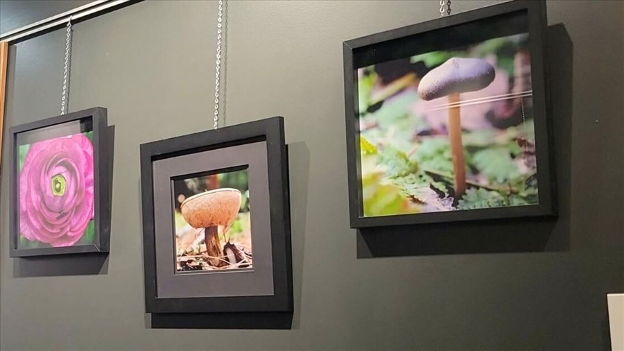 Février sera bien animé à la bibliothèque Madeleine-Doyon
