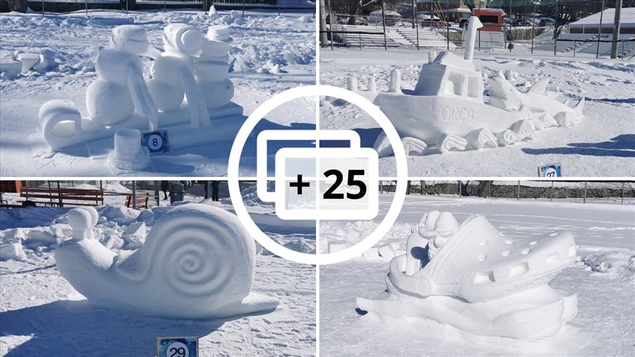 Retour en images sur le concours de sculptures sur neige