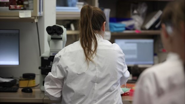 Plus de 150 emplois étudiants offerts cet été au CISSS de Chaudière-Appalaches