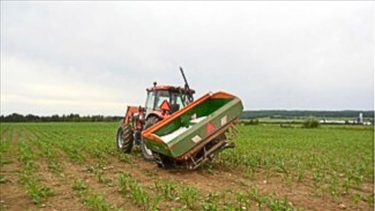 Décès d'un homme sur une ferme: la CNESST dévoile les conclusions de son enquête