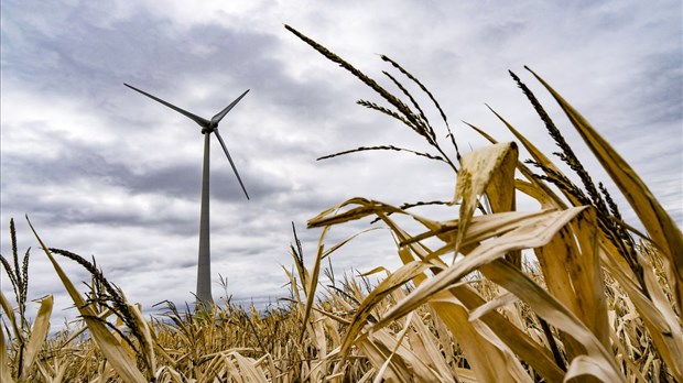 Des agriculteurs demandent à Hydro-Québec de suspendre son appel d'offres éolien