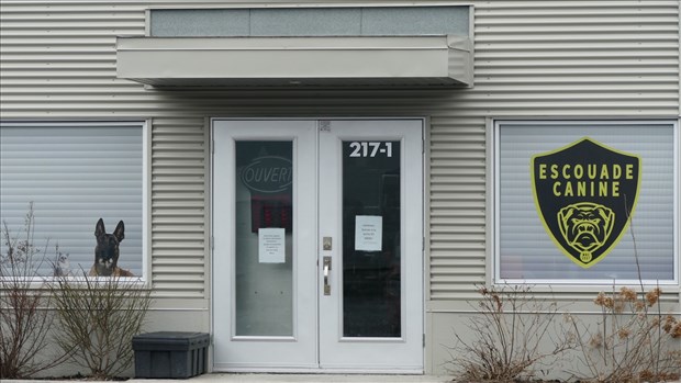 Simon Bédard plaide coupable à l'accusation de cruauté animale