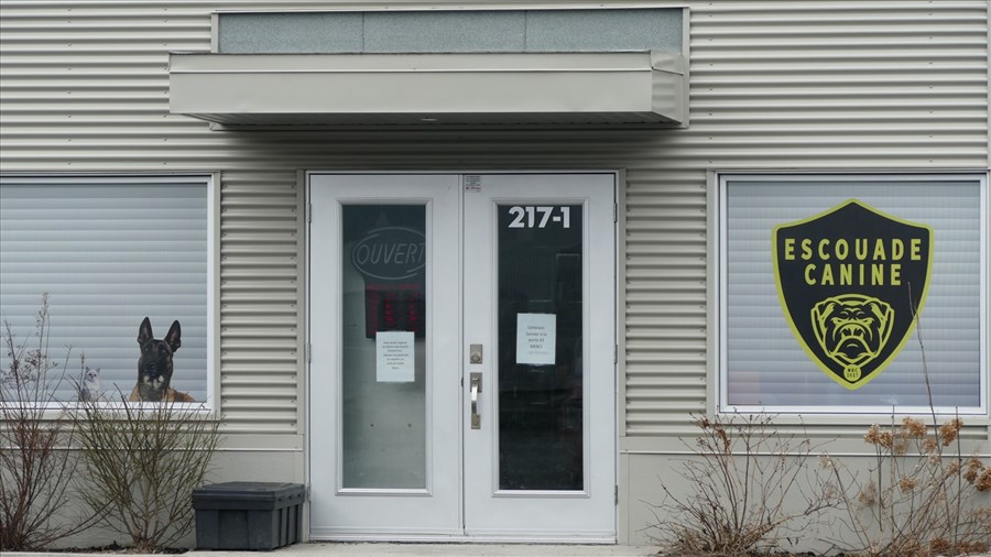 Simon Bédard plaide coupable à l'accusation de cruauté animale