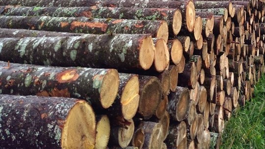 Deux assemblées générales pour les producteurs de bois de la Beauce