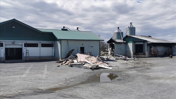 Un poulailler ravagé par les flammes