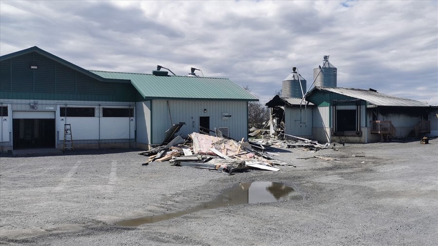 Un poulailler ravagé par les flammes