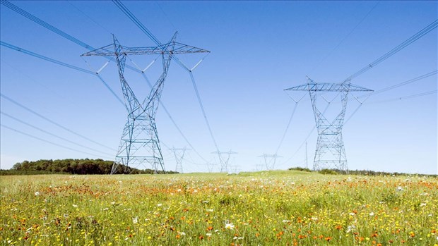 Ligne de haute tension: la Nouvelle-Beauce veut préserver le potentiel agricole