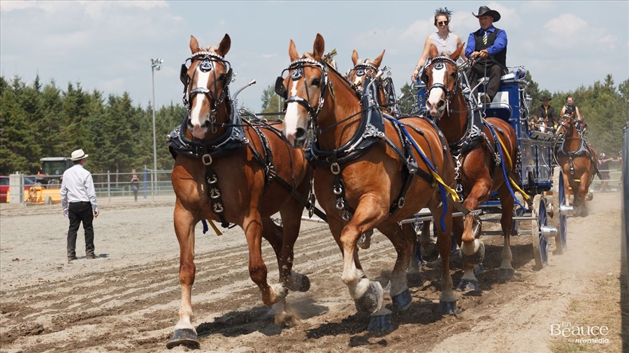 L'Expo agricole de Beauce s'ouvre ce soir