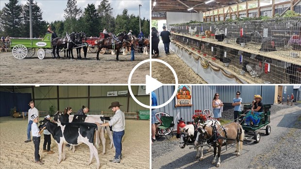 Retour en images sur l'Expo agricole de Beauce