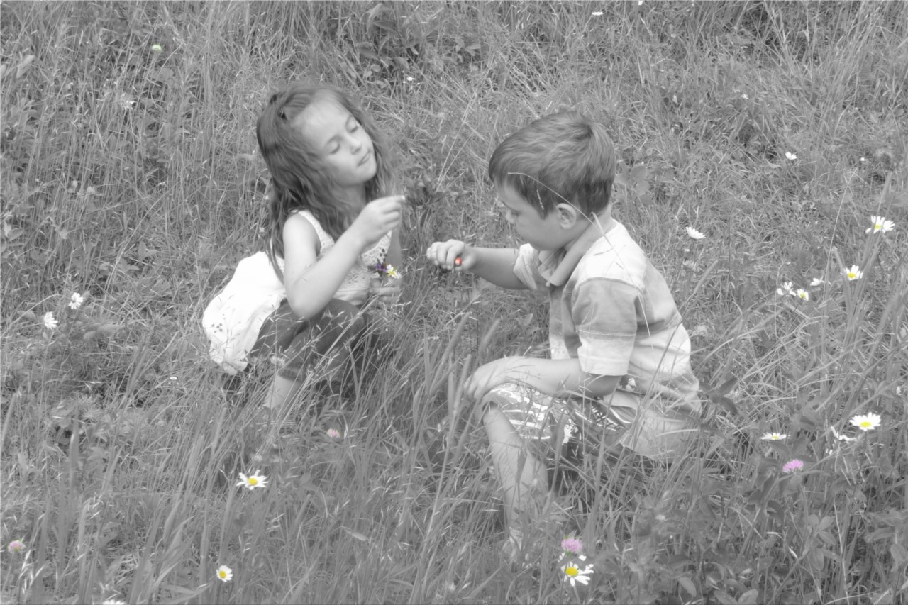 Dégustation de fraises des champs... ;)