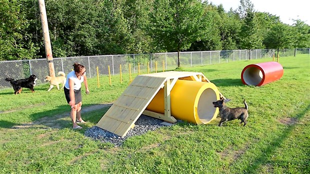 Les premiers chiens du parc canin de St-Georges tout excités par leur  espace de jeu